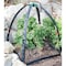 Nuvue NuVue PestGuard 25 in. L X 25 in. W 1 pk Plant Protector 30200 - alternate 1